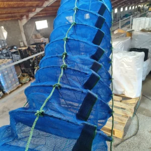 Linterna para ostras